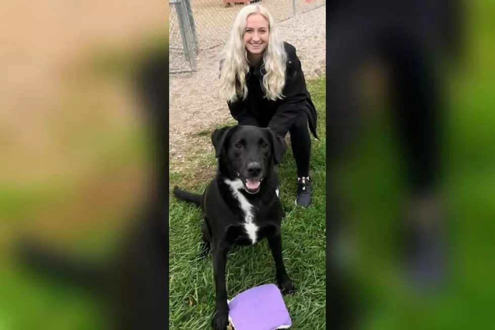 Rudy Spent Nearly 1 Year At Allegan Shelter & Now Has A Home