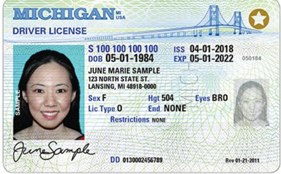 Michigan Snowbirds, Don't Forget To Renew Licenses and Plates