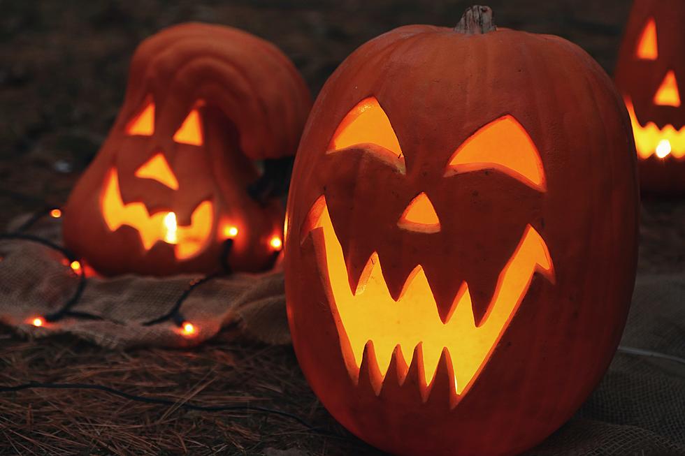 Where To Pick Pumpkins In The Greater Lansing Area This Fall