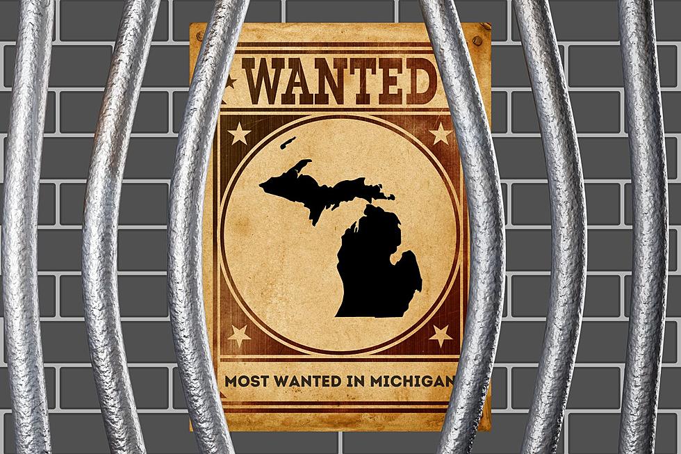 Look: 10 of the Most Wanted Fugitives In Michigan Right Now