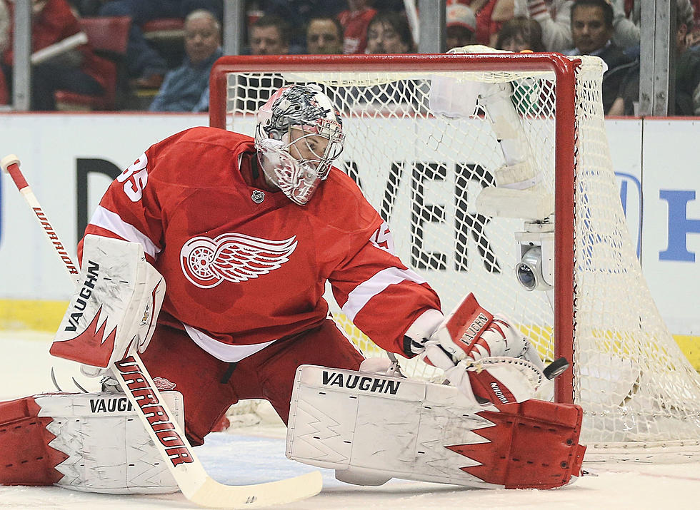 Red Wings Pick Up OT Win 2-1 Over Rangers