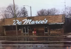 Mad Dog Wonders Who Has The Best Pizza In The Lansing Area