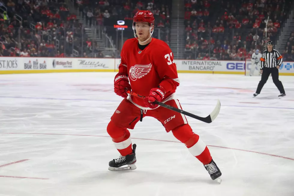 Red Wings Waive Nine; Final Roster Tomorrow