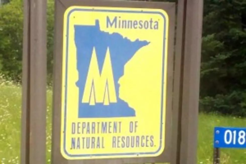 State Officials Accidentally Spark Roseau County Wildfire
