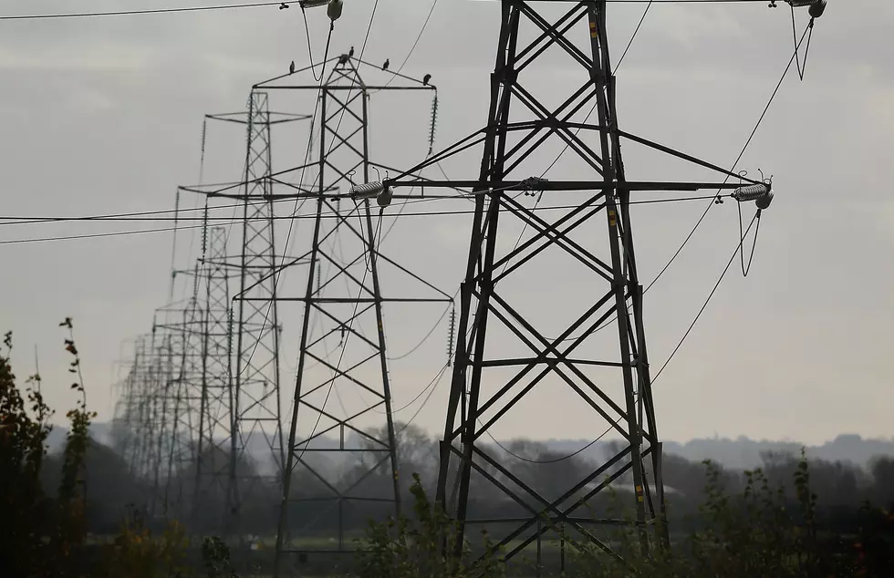 Birds Blamed For Large Power Outage in SE Minnesota