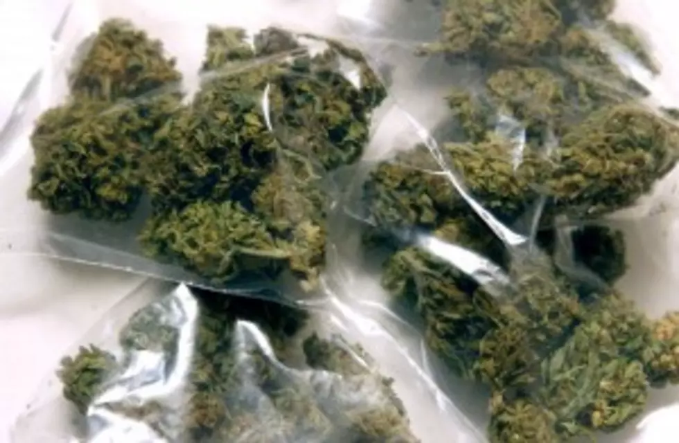 Rochester Drug Bust Yields 10-Pounds of Pot