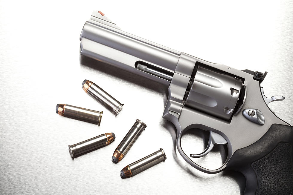 Bullet Hits Home of Dakota County Sheriff