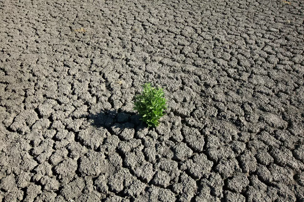 Have You Noticed How Dry It&#8217;s Getting in Southeast Minnesota?