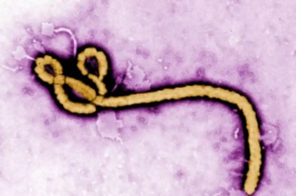 CDC Confirms Nation&#8217;s First Ebola Case
