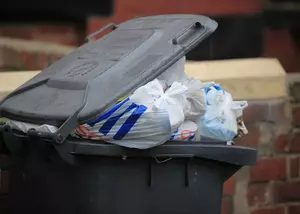 Olmsted County Considers $50 Fine for Putting Garbage Can Out Early