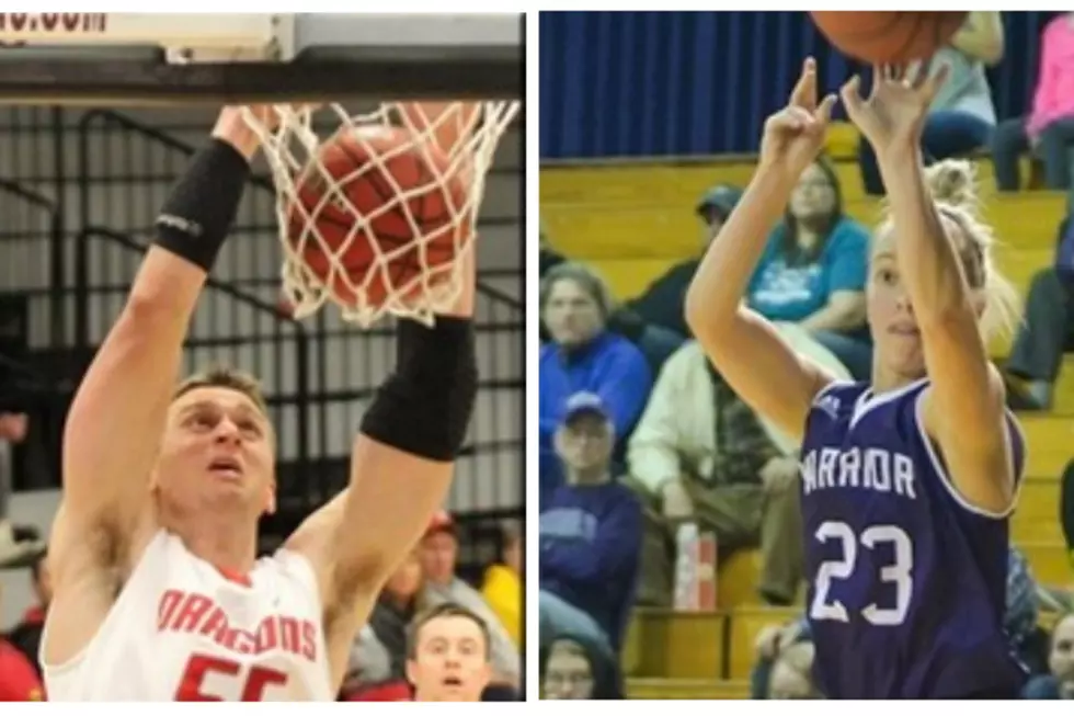 Area Athletes Honored by NSIC