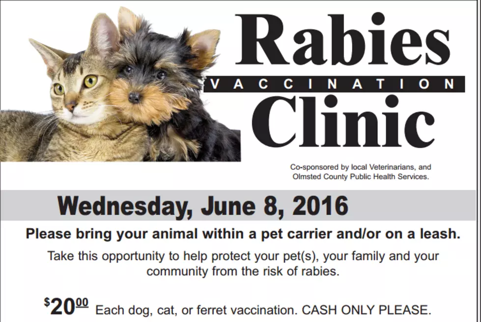 Annual Olmsted County Rabies Clinic Scheduled for Wednesday