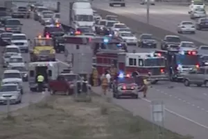 Twin Cities Freeway Crash Blamed on Ducks