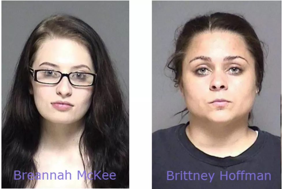 Two Rochester Area Woman Admit to Involvement in Assault
