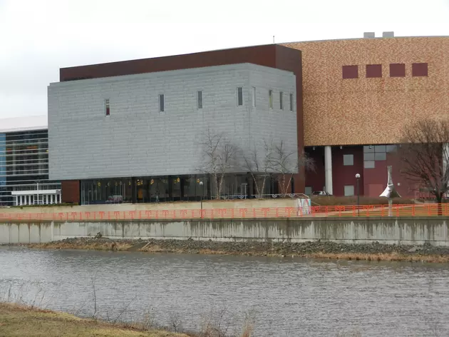 Rochester Art Center Losing Its Director