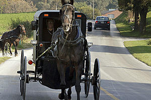 Charges Filed For Fatal Crash With Amish Buggy