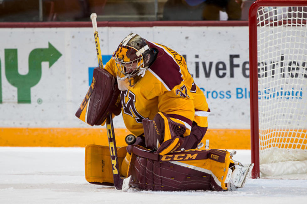 Third Period Hat Trick Gives Gophers Win