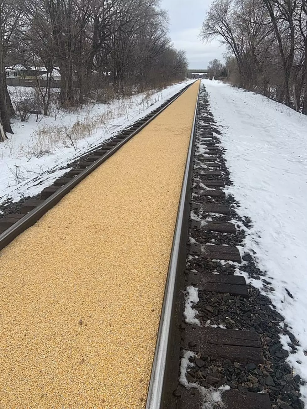Minnesota Train Tracks Mysteriously and Perfectly Filled With Corn