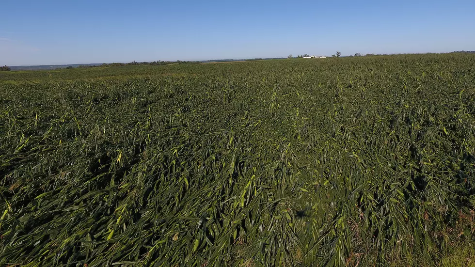 Derecho Crop Damage In Iowa Continues to Increase