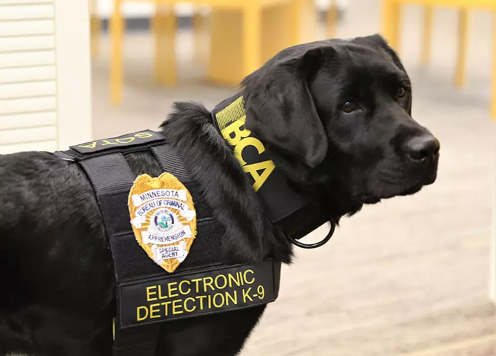 Minnesota’s First Electronics Sniffing K9 is on Duty