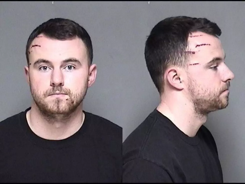 Stewartville Man Arrested For Reported Gun Pointing Incident