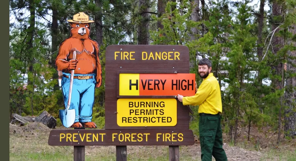 DNR Imposes Burning Restrictions on Nearly all of Minnesota