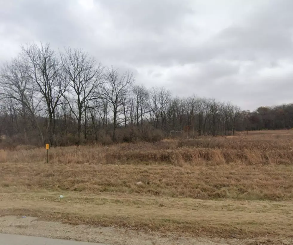 Dog Walker Discovers Body in Wooded Area Near Rochester