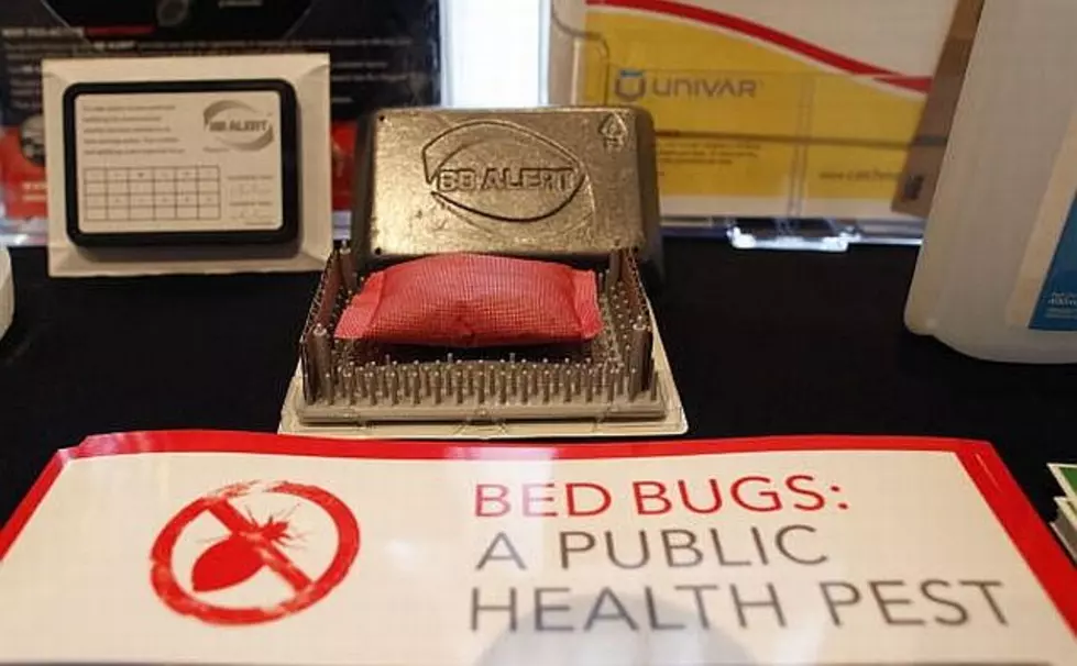 U of M Center Helps Fight Back Against Bedbugs