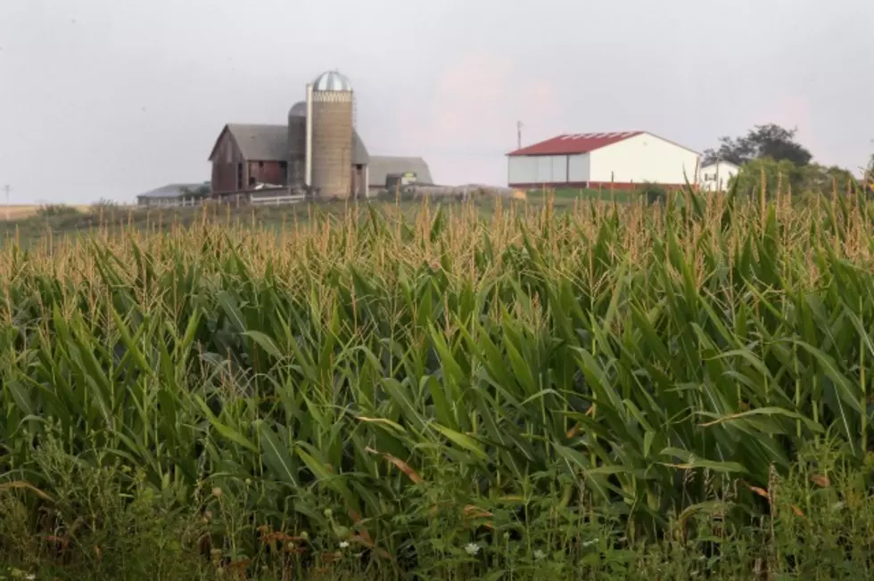Report: MN Farmers Had Record Profits in 2011