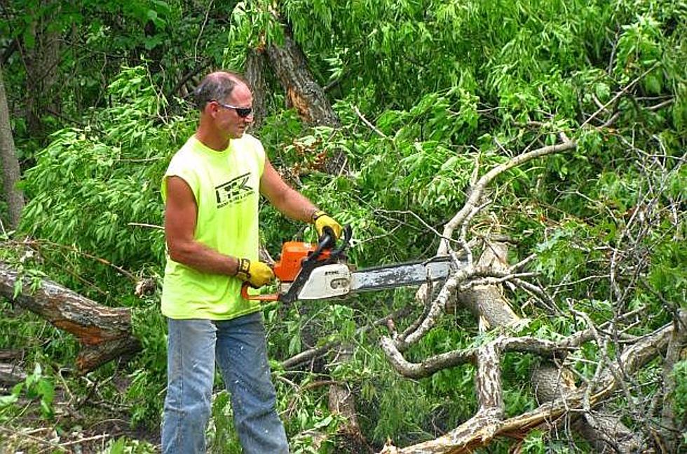 500 Trees Damaged at Rockville County Park, Eagle Park [PHOTOS]