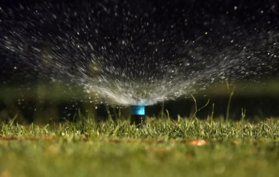 Top 5 at 7:45; Reasons to Water Your Lawn