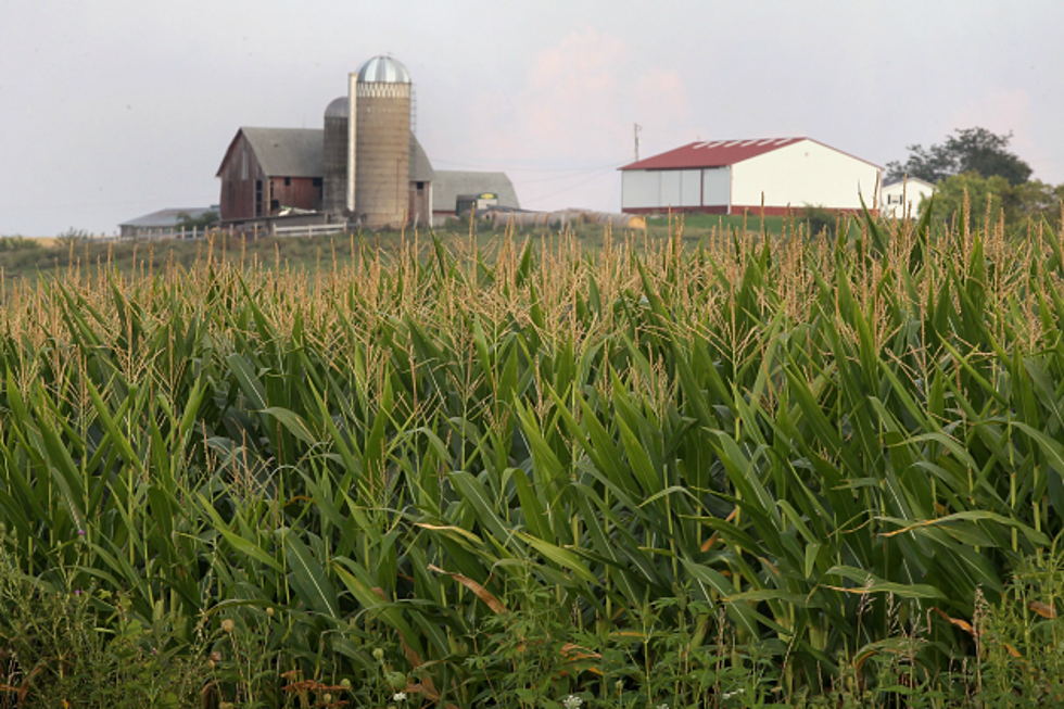 Local Farmers Excited For New 5 Year Farm Bill [AUDIO]
