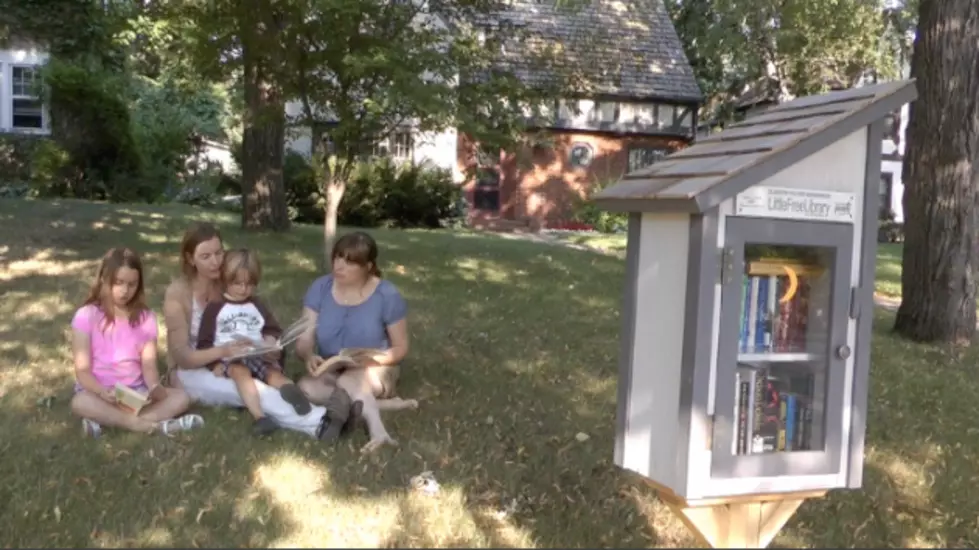 Little Free Libraries Spread To Central Minn. Neighborhoods [AUDIO,VIDEO]