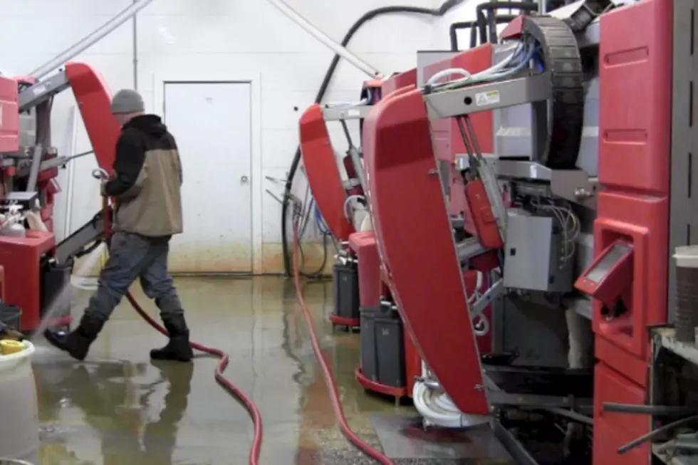 Dairy Farm Steps Into the Future With Robotic Milkers [VIDEO]