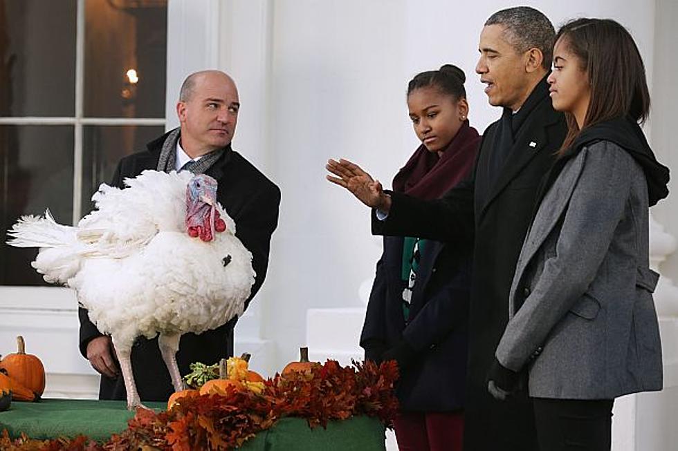 Obama Pardons Minnesota Turkeys As Part Of Annual Rite