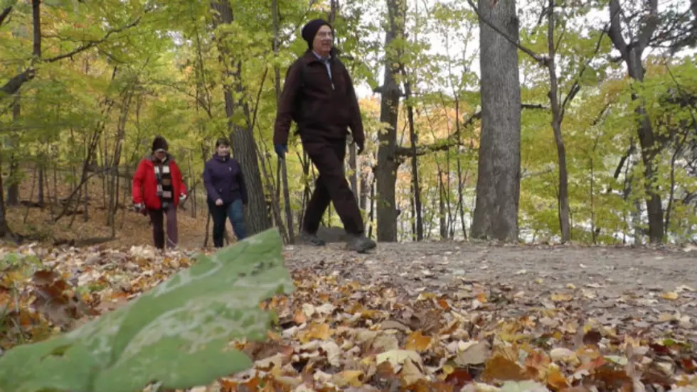 Collegeville Colors Adds Unique Features To Autumn Hikes [VIDEO]