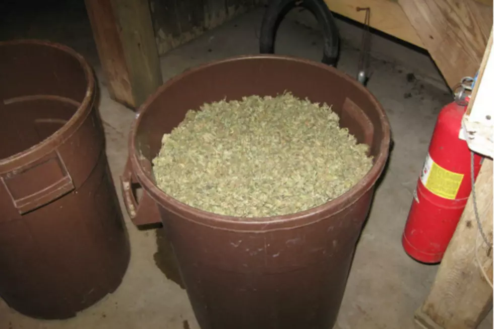 Police Find 56 Pounds of Marijuana in Wright County Home