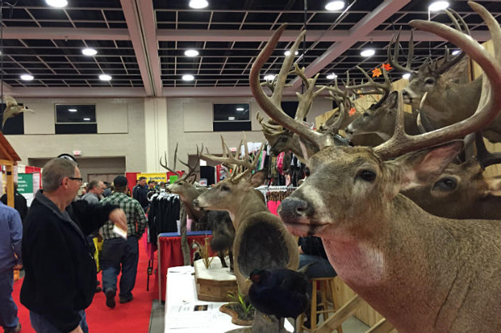 The Sportsmen's Show Is Bigger And Better In 2015 [VIDEO]