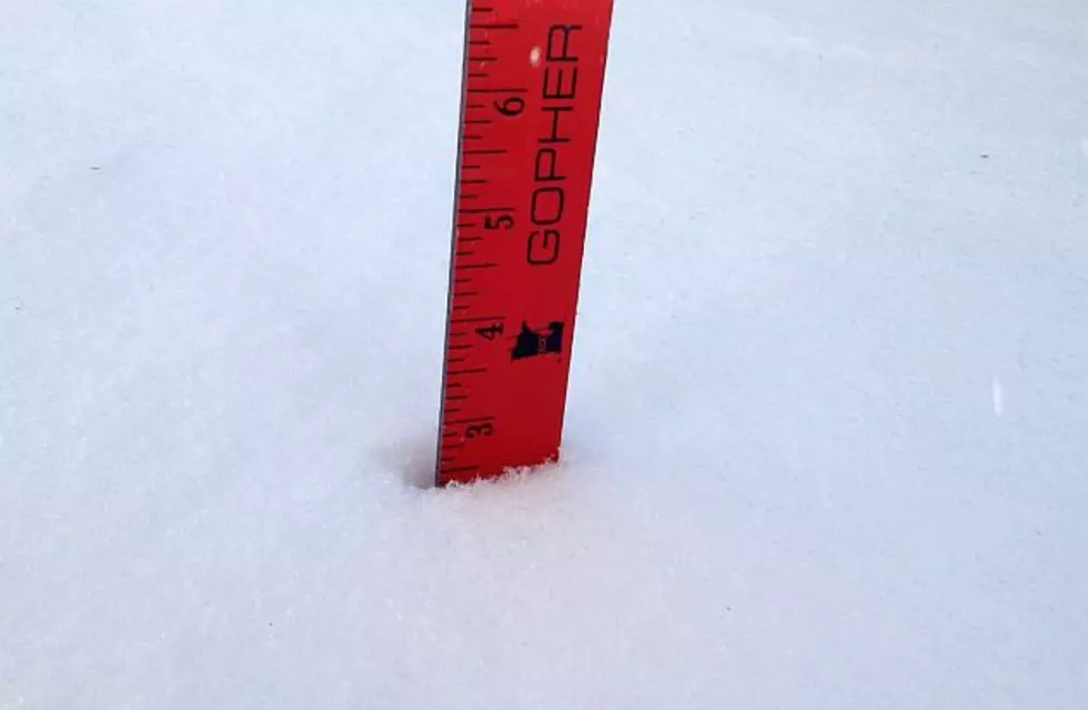Snowfall Totals from Around Central Minnesota
