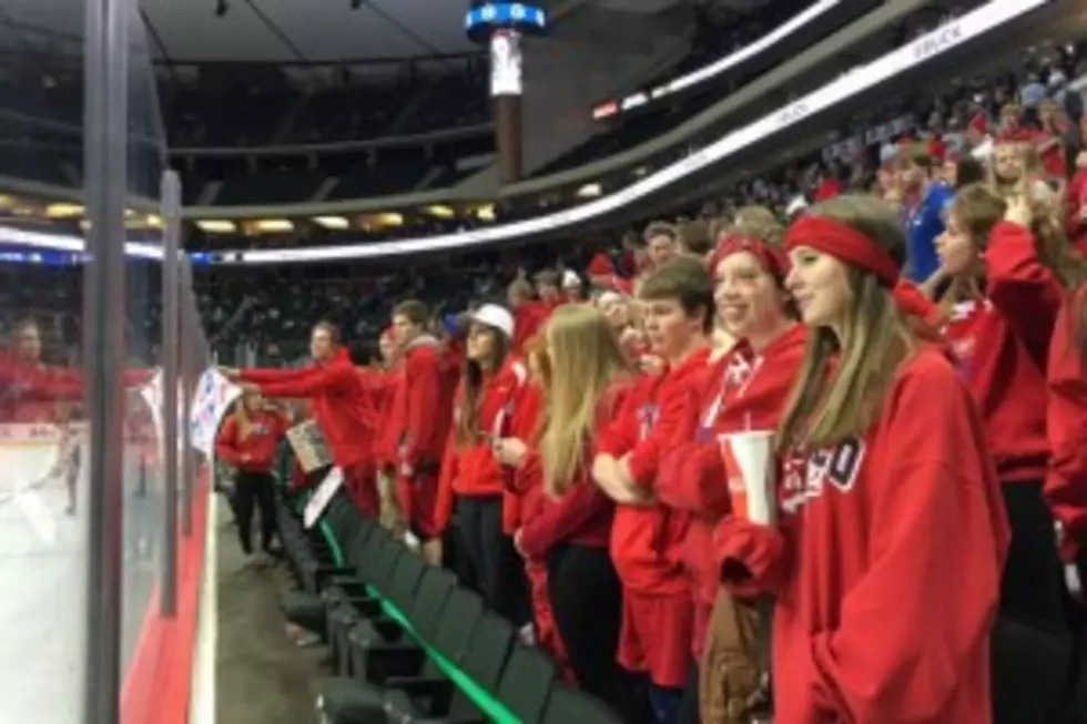 Minnesota Boys Hockey Tournament Sets Attendance Record