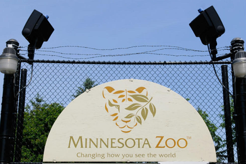 Minnesota Zoos Taking Steps Against Avian Influenza