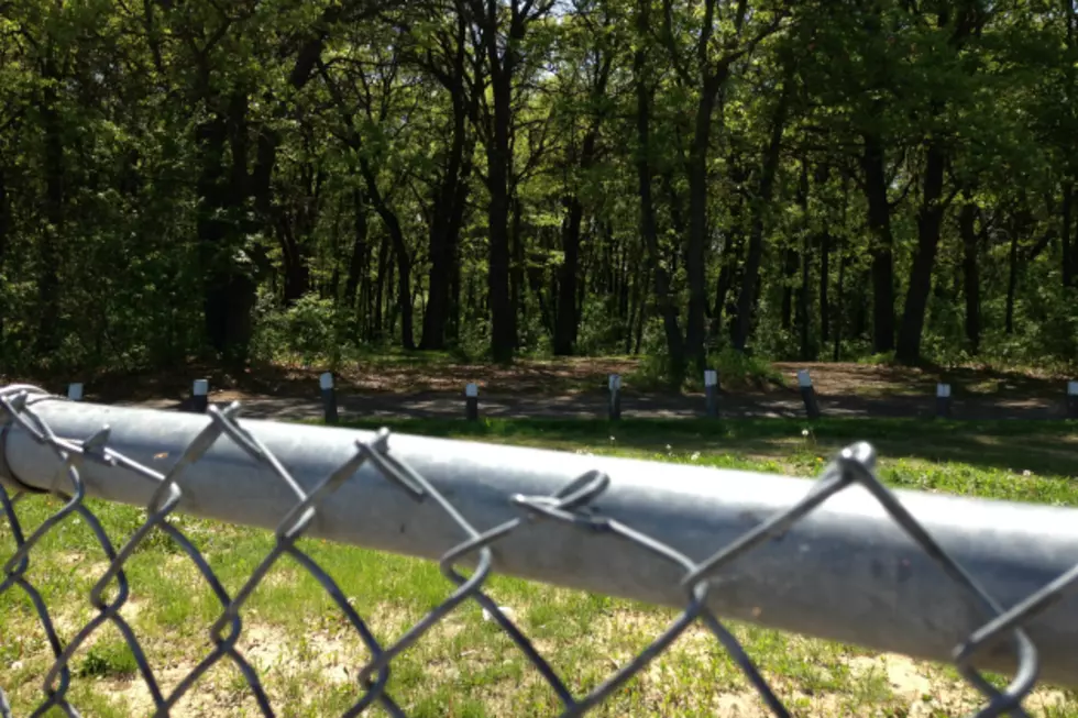 Wood Cutting Near City Park Boundaries Sparks Debate In Sartell