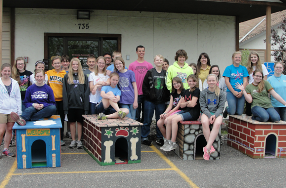 St. Cloud Christian Art Students Build, Paint, And Donate Dog Houses