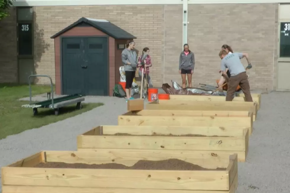 Sauk Rapids-Rice Students Learn To Grow Their Own Food  [VIDEO]
