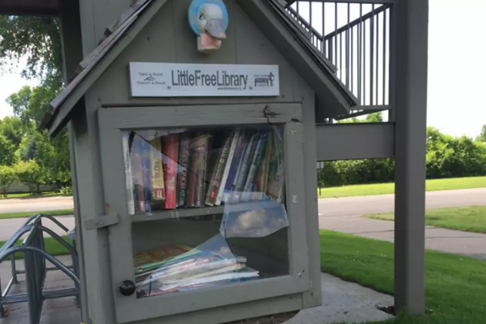 Avon Police Find Two Who Damaged Little Free Library