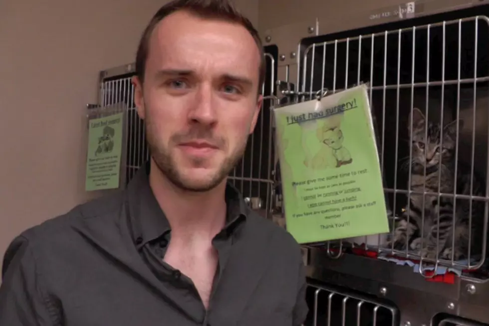 In Honor of Internet Cat Video Festival: WJON Reporter Interviews Cats [VIDEO]