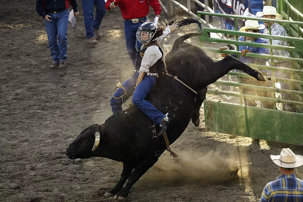 Bull Riding and New Food Vendors at the Sherburne County Fair