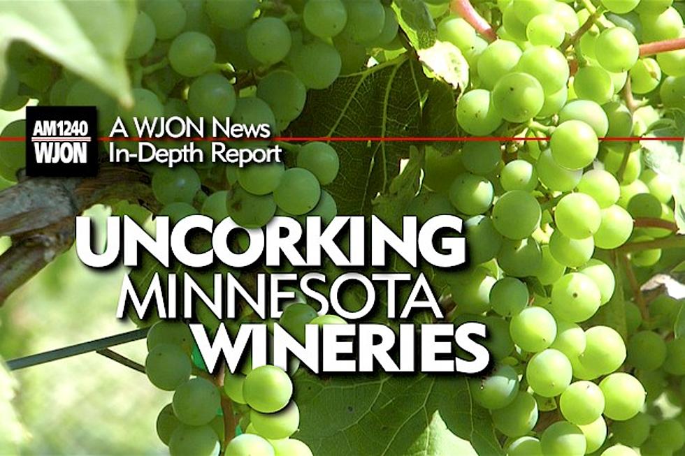 Uncorking Minnesota Wineries