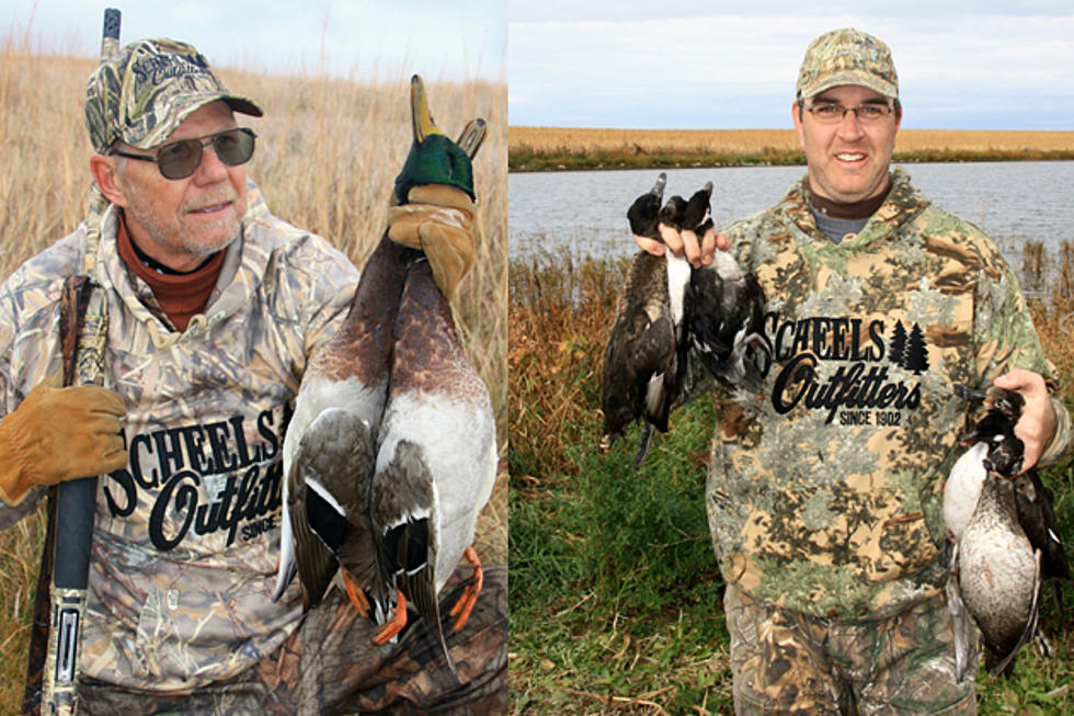 When Hunting Waterfowl, Respect the Roost