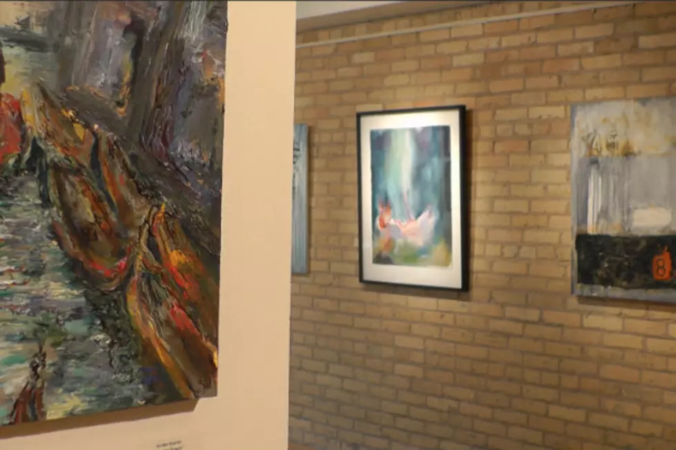 SCSU Alumni Art Exhibit On Display in Downtown St. Cloud [VIDEO]